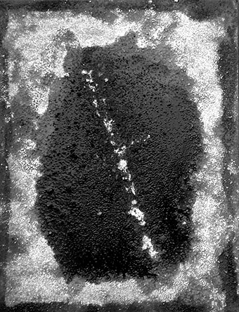 il·lustració de Enric M. Piera