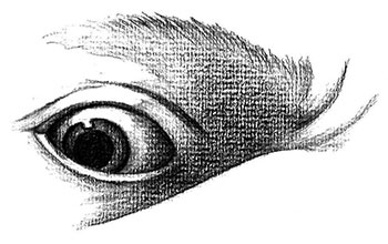 il·lustració de Josefina Sánchez Paniagua