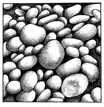 il·lustració de Josefina Sánchez Paniagua