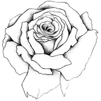 il·lustració de Josefina Sánchez Paniagua