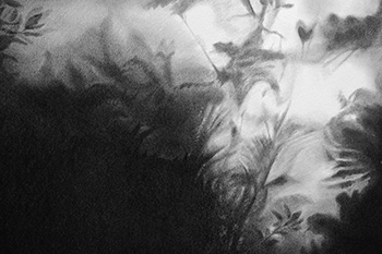 ilustración de Júlia Rodríguez-Arias Honorato