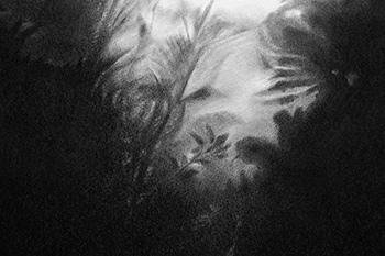 ilustración de Júlia Rodríguez-Arias Honorato