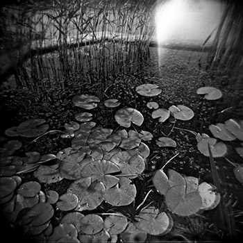 Fotografia de Zita Vehil.